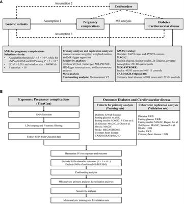 Assessing the causal association of pregnancy complications with diabetes and cardiovascular disease